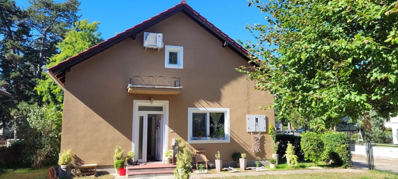 Apartman Aleksandar lux Palić Extérieur photo