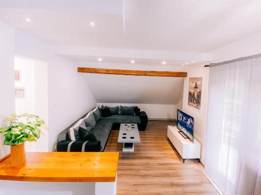 Apartman Aleksandar lux Palić Extérieur photo
