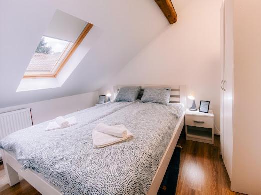 Apartman Aleksandar lux Palić Extérieur photo