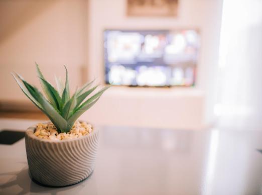 Apartman Aleksandar lux Palić Extérieur photo