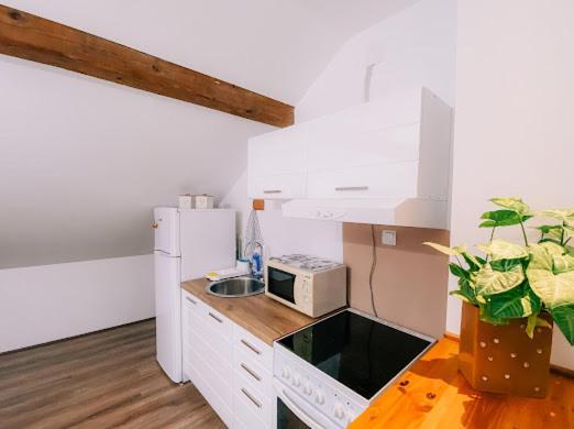 Apartman Aleksandar lux Palić Extérieur photo