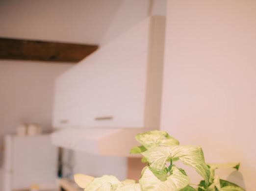 Apartman Aleksandar lux Palić Extérieur photo